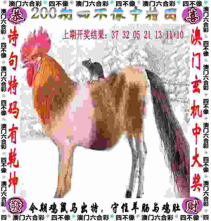 >2025新门正版免费资本